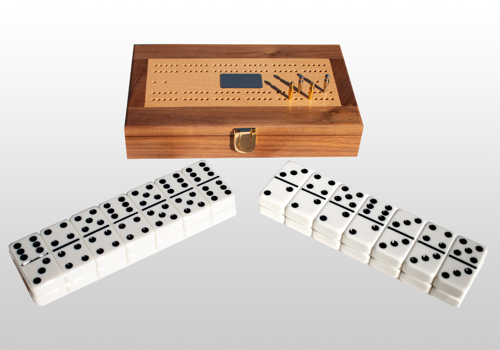 tournament dominoes set